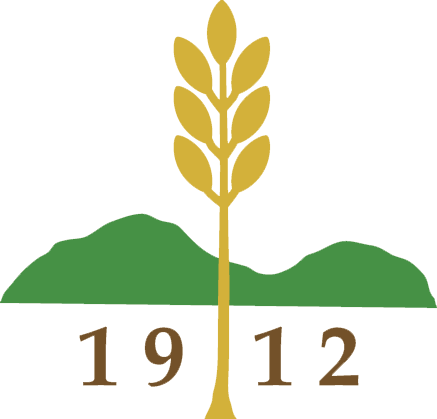 Mountain-Ridge-Logo